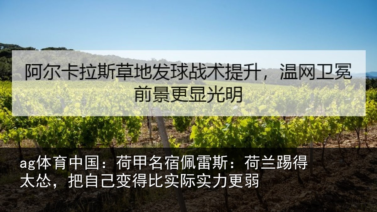 ag体育中国:荷甲相关情况得太相关情况际实力更弱